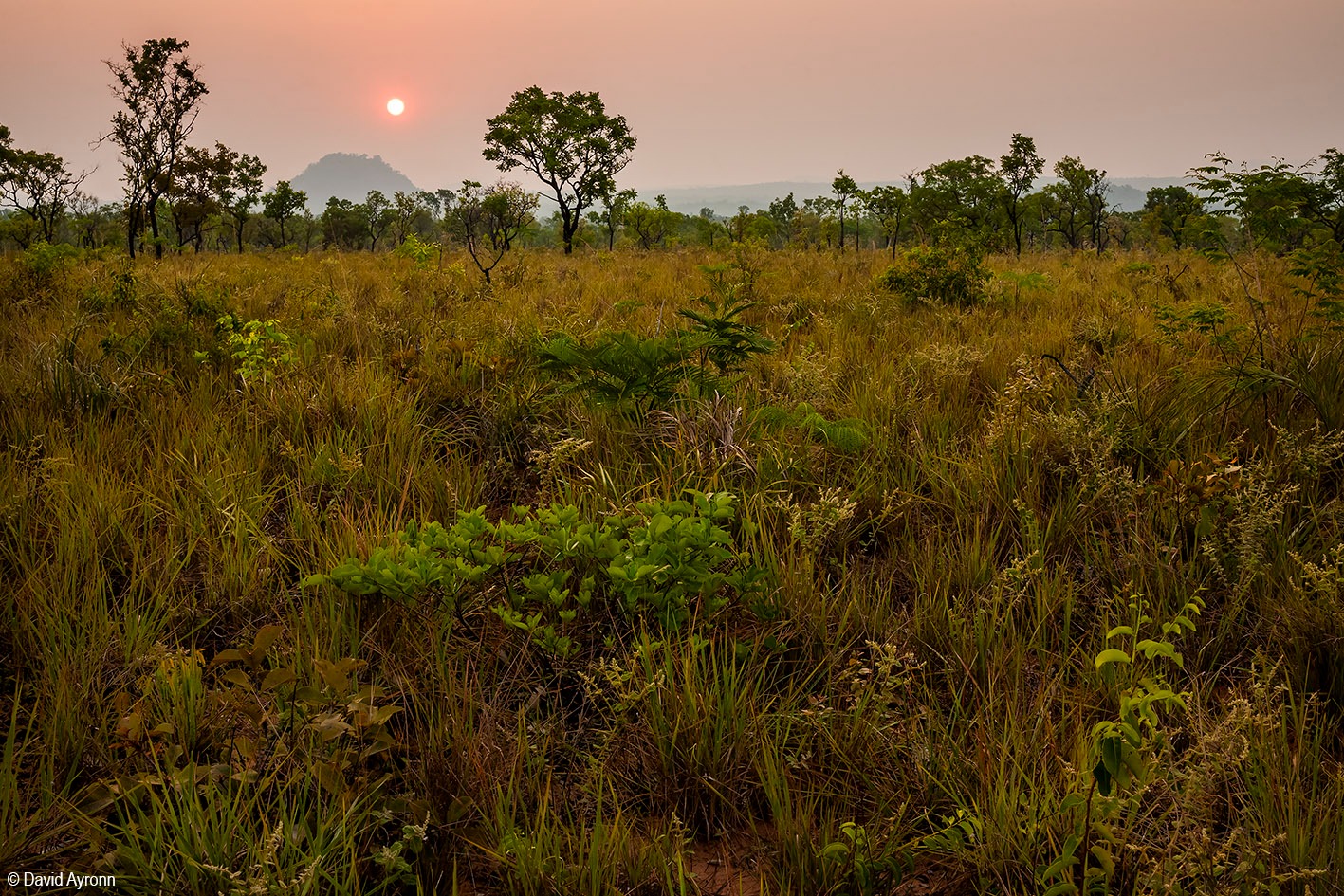 Semana Nacional da Biodiversidade