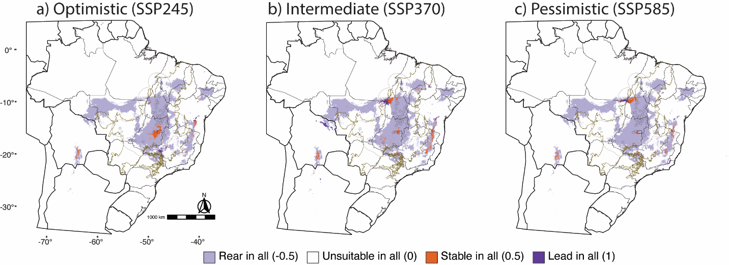 Projeções da distribuição futura