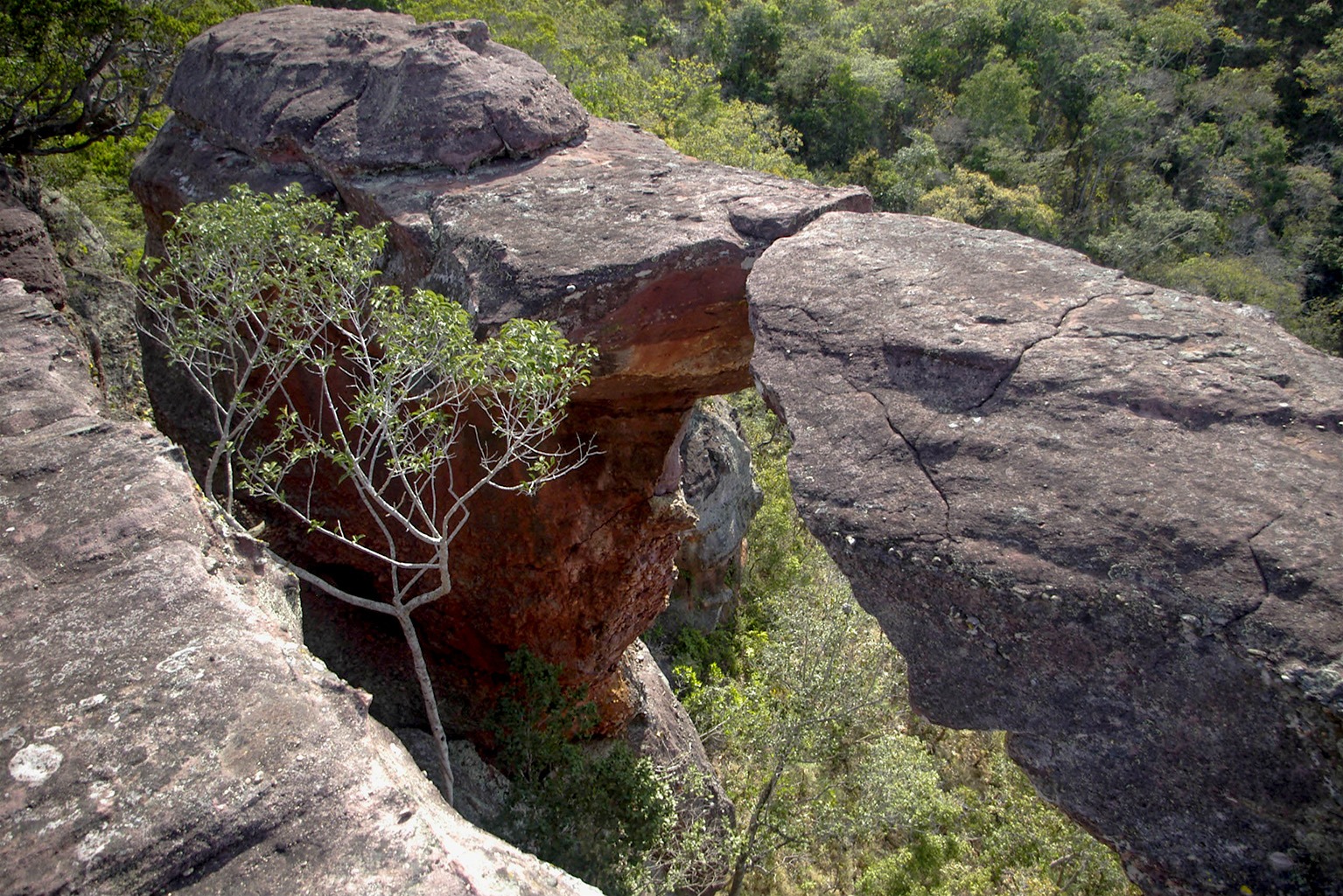 Afloramento rochoso no Cerrado