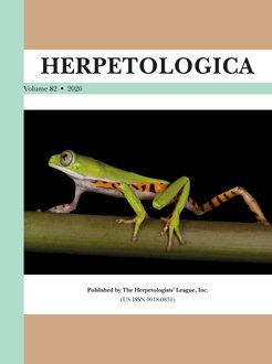 capa pesquisa 1